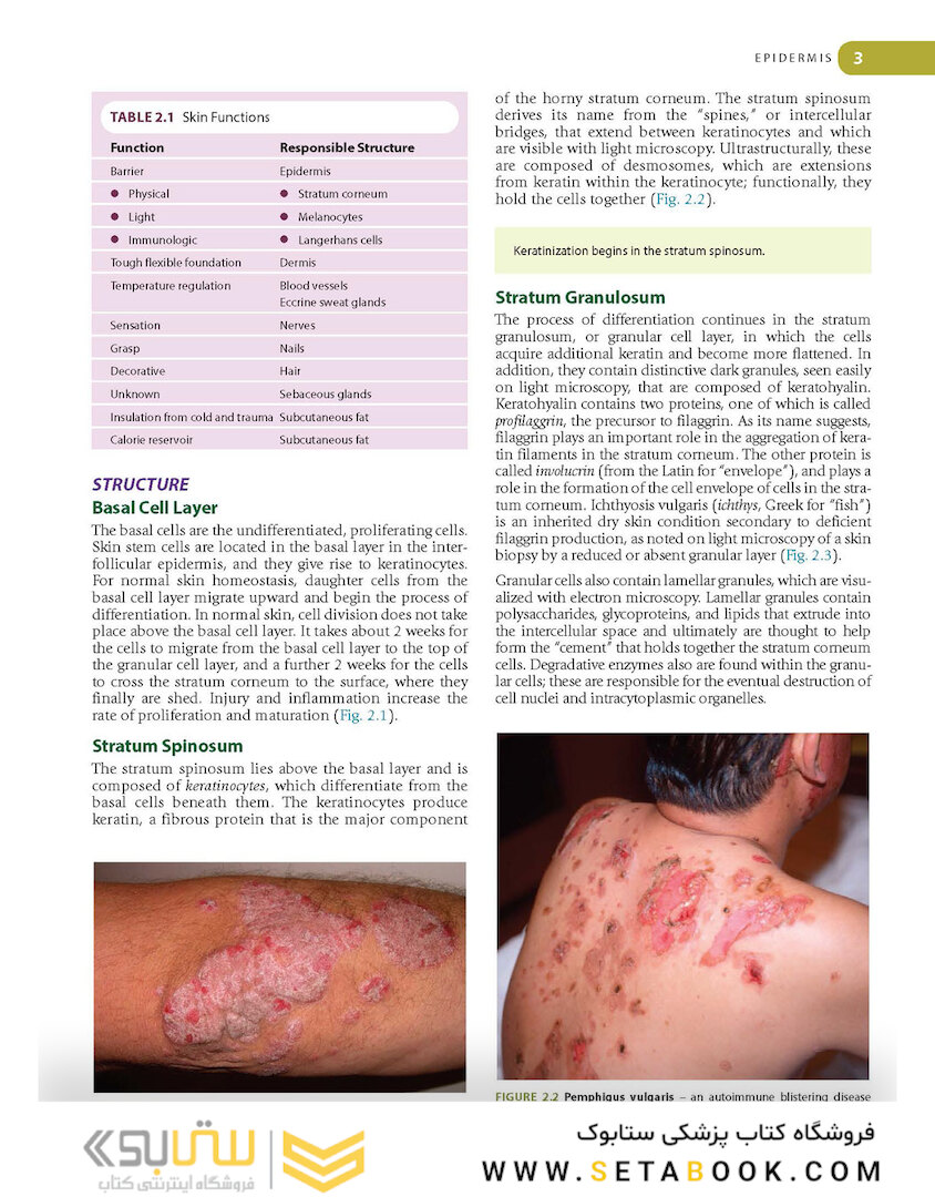 Lookingbill and Marks