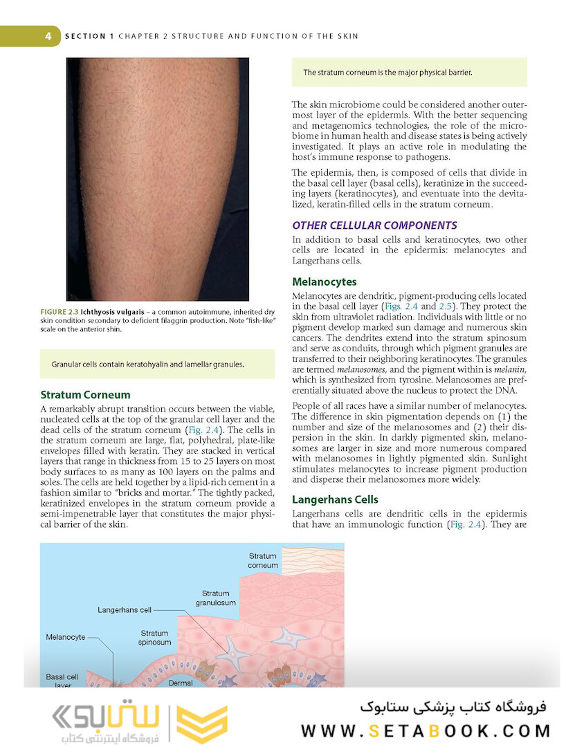 Lookingbill and Marks