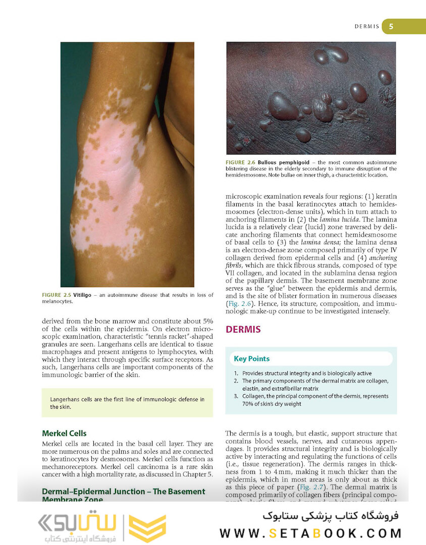 Lookingbill and Marks