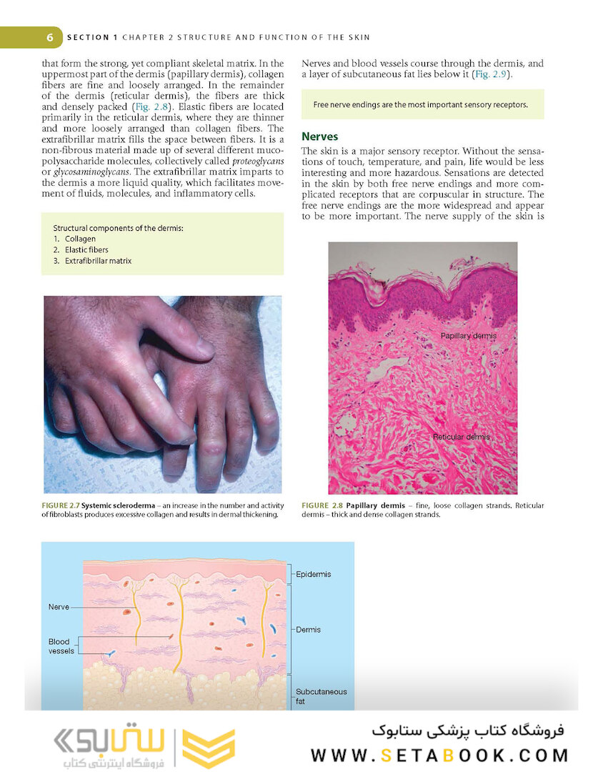 Lookingbill and Marks