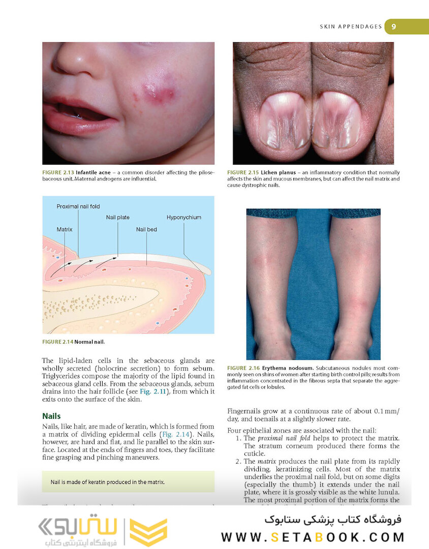 Lookingbill and Marks