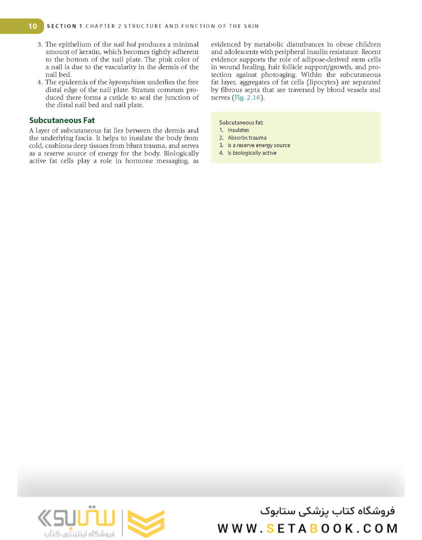 Lookingbill and Marks