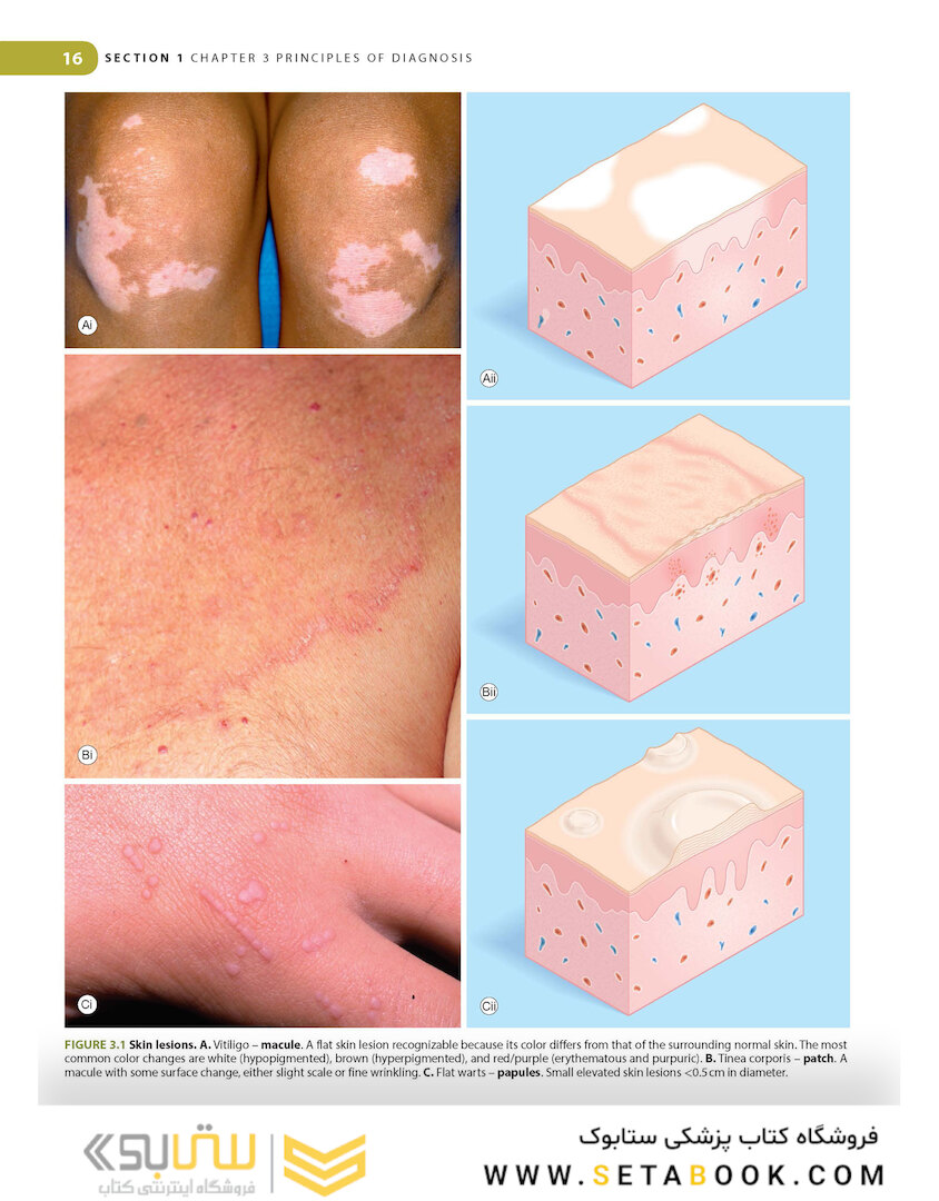 Lookingbill and Marks