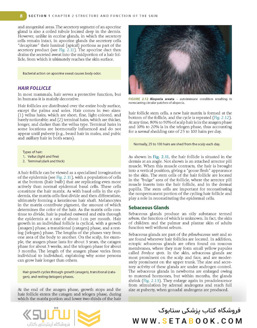 Lookingbill and Marks