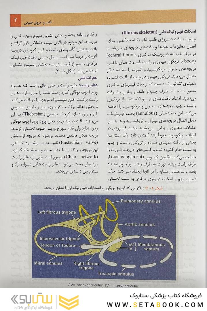 بیماری های قلب و عروق