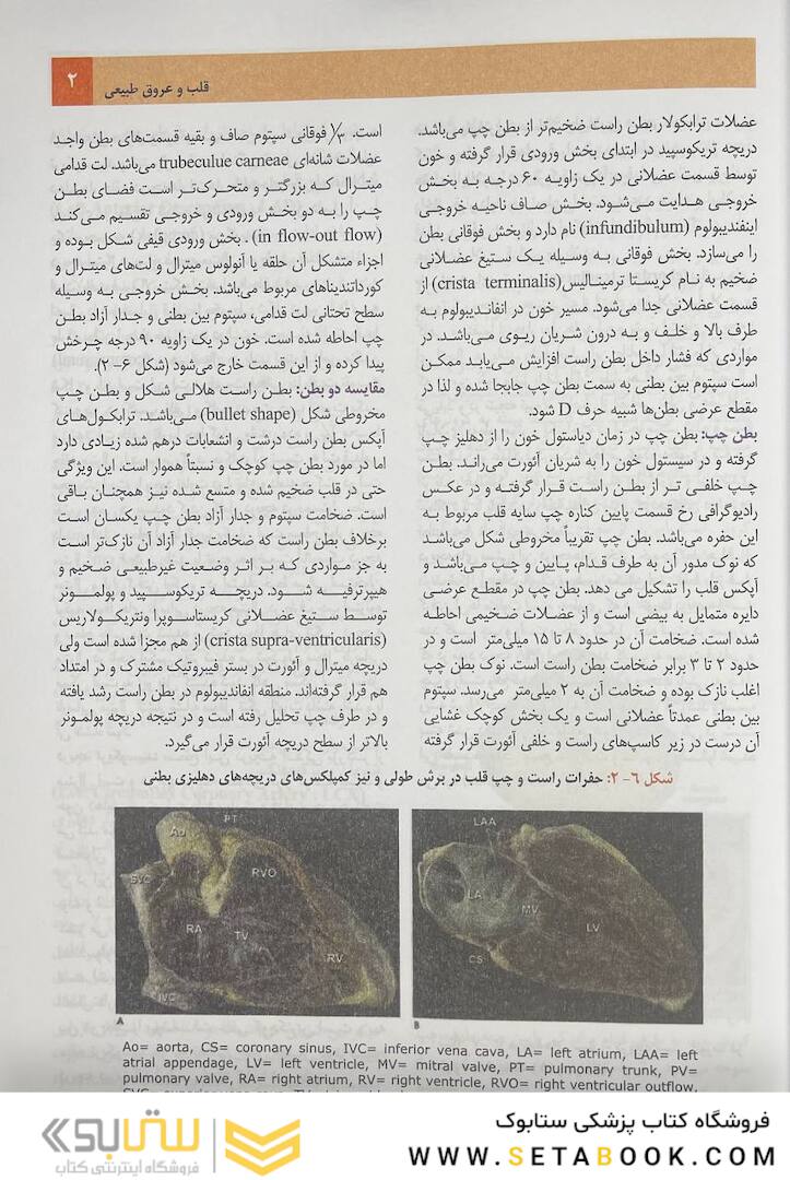 بیماری های قلب و عروق