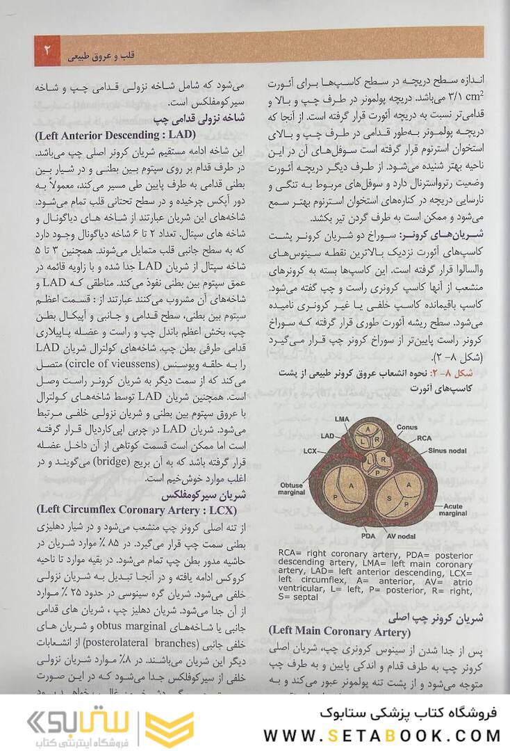 بیماری های قلب و عروق