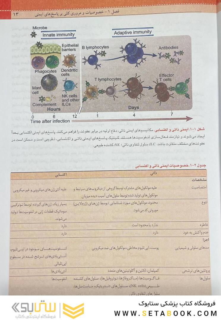 QR مرجع سریع ایمونولوژی سلولی و مولکولی ابوالعباس 2022