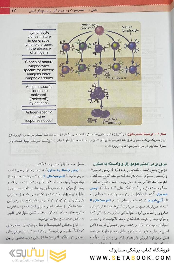 QR مرجع سریع ایمونولوژی سلولی و مولکولی ابوالعباس 2022