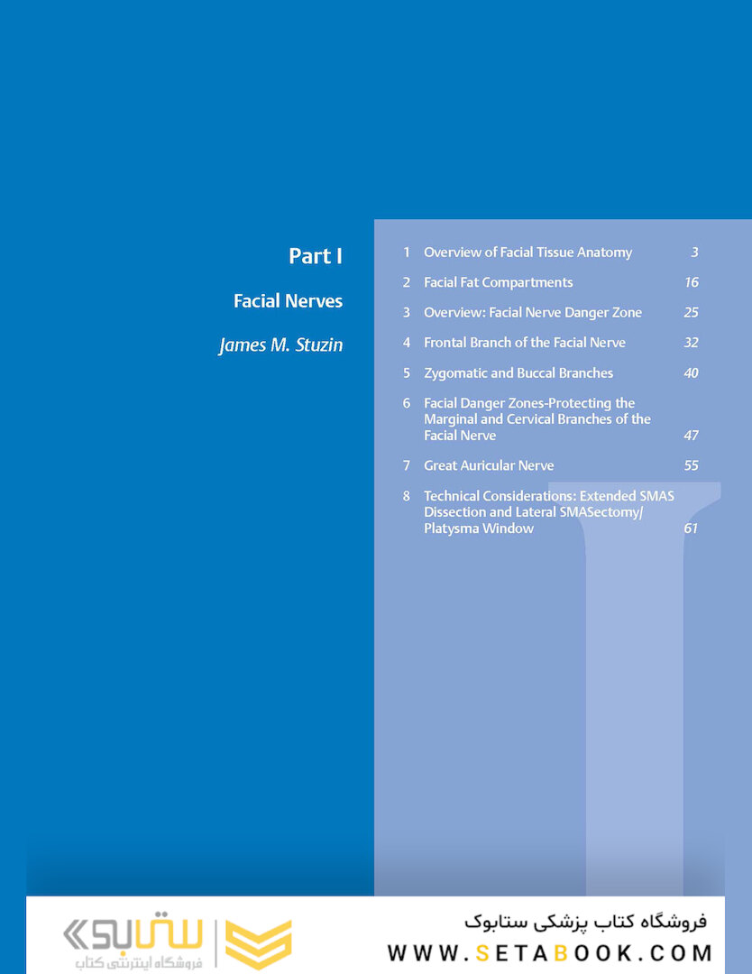 Facial Danger Zones: Staying safe with surgery, fillers, and non-invasive devices 1st Edition 2020