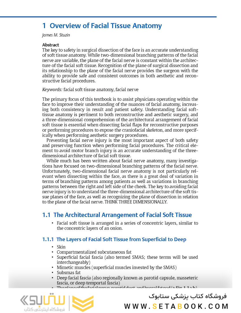 Facial Danger Zones: Staying safe with surgery, fillers, and non-invasive devices 1st Edition 2020