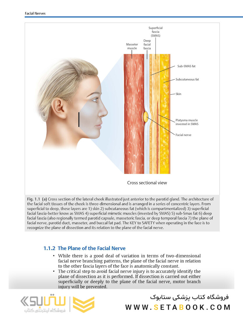 Facial Danger Zones: Staying safe with surgery, fillers, and non-invasive devices 1st Edition 2020