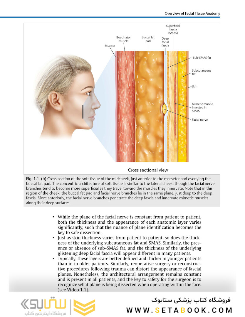 Facial Danger Zones: Staying safe with surgery, fillers, and non-invasive devices 1st Edition 2020
