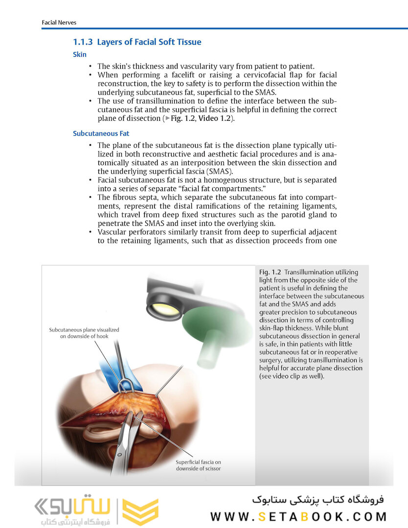 Facial Danger Zones: Staying safe with surgery, fillers, and non-invasive devices 1st Edition 2020