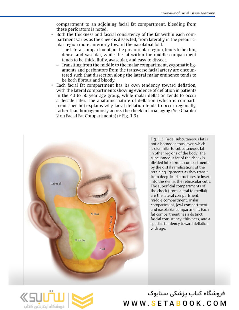 Facial Danger Zones: Staying safe with surgery, fillers, and non-invasive devices 1st Edition 2020