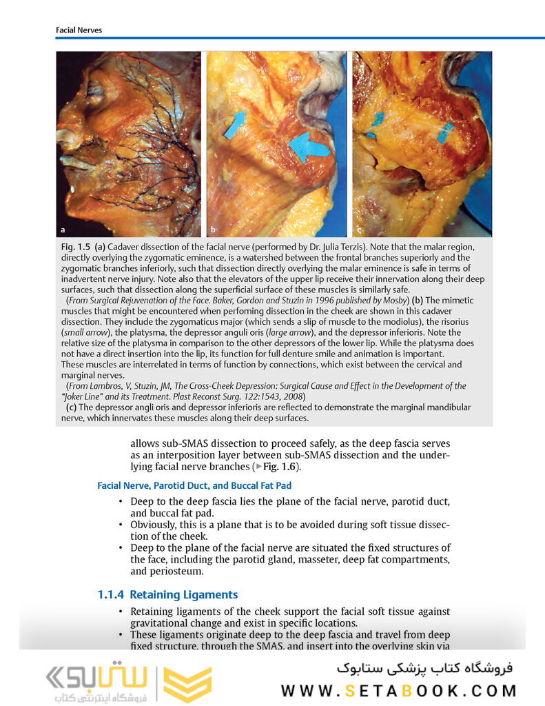 Facial Danger Zones: Staying safe with surgery, fillers, and non-invasive devices 1st Edition 2020