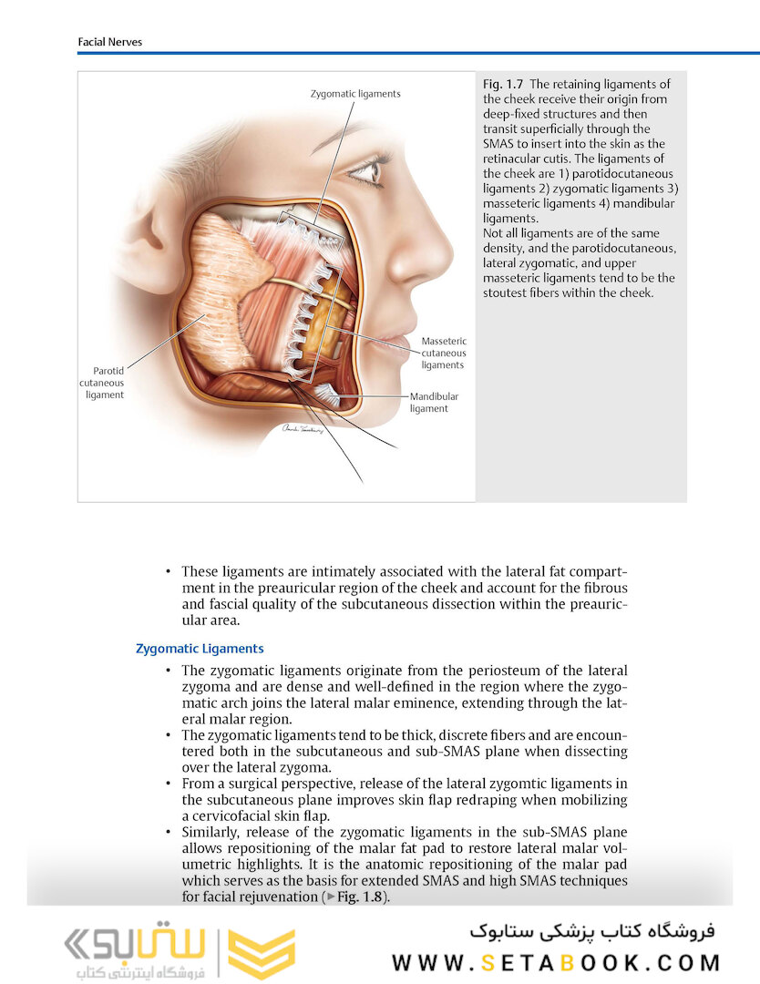Facial Danger Zones: Staying safe with surgery, fillers, and non-invasive devices 1st Edition 2020