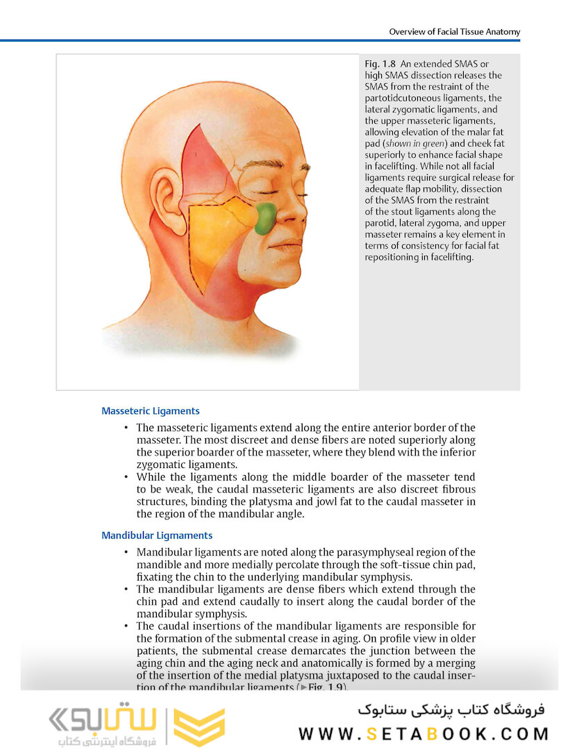 Facial Danger Zones: Staying safe with surgery, fillers, and non-invasive devices 1st Edition 2020