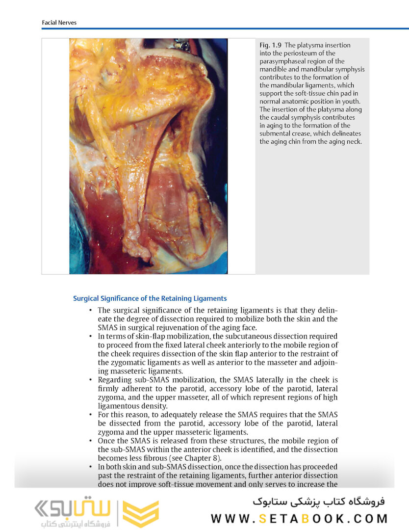 Facial Danger Zones: Staying safe with surgery, fillers, and non-invasive devices 1st Edition 2020
