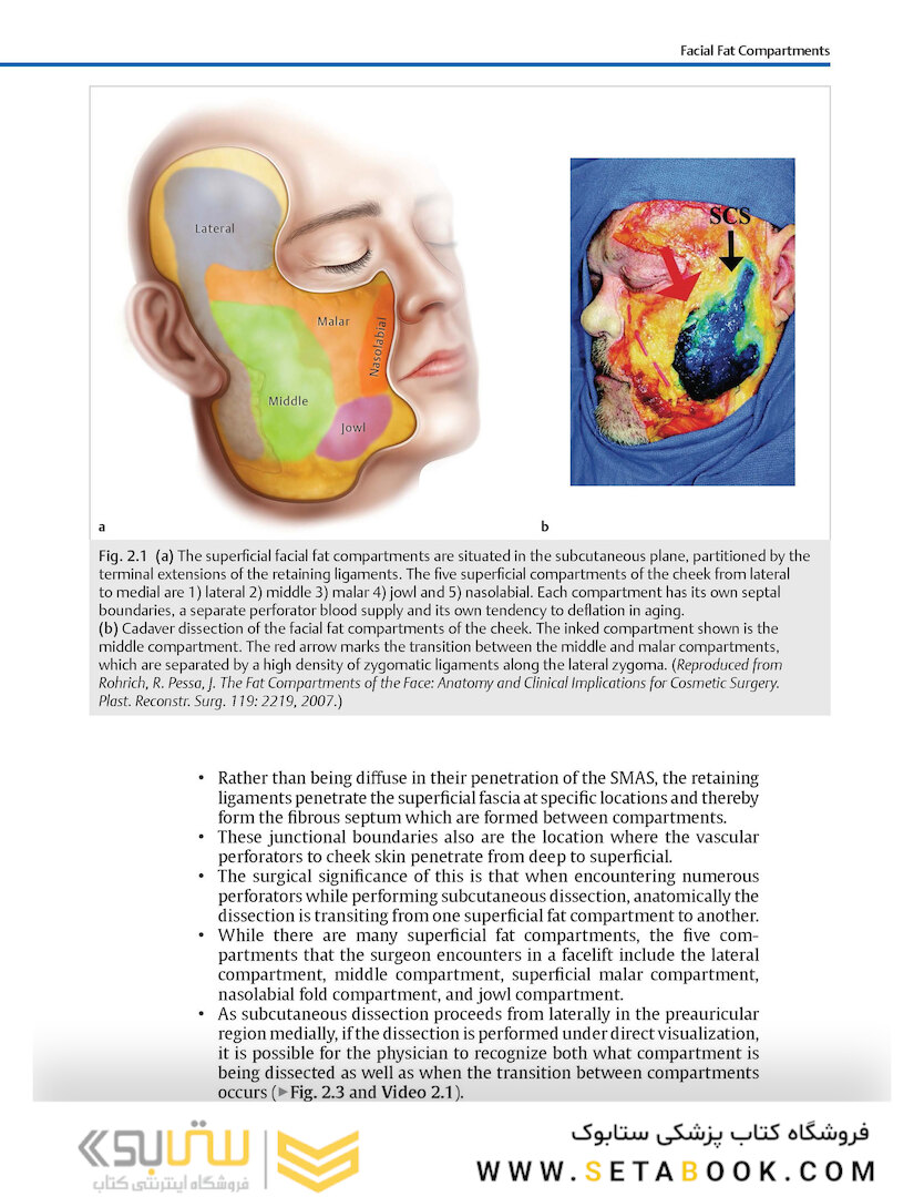 Facial Danger Zones: Staying safe with surgery, fillers, and non-invasive devices 1st Edition 2020
