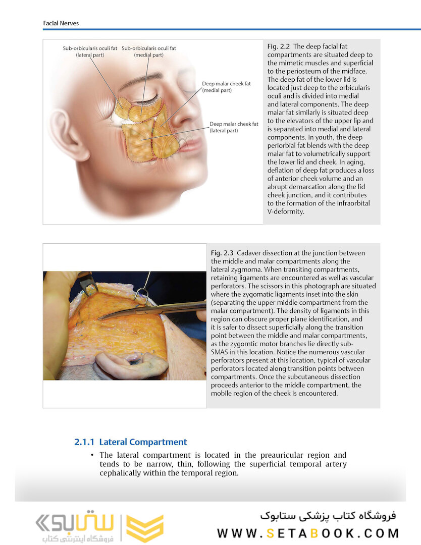 Facial Danger Zones: Staying safe with surgery, fillers, and non-invasive devices 1st Edition 2020