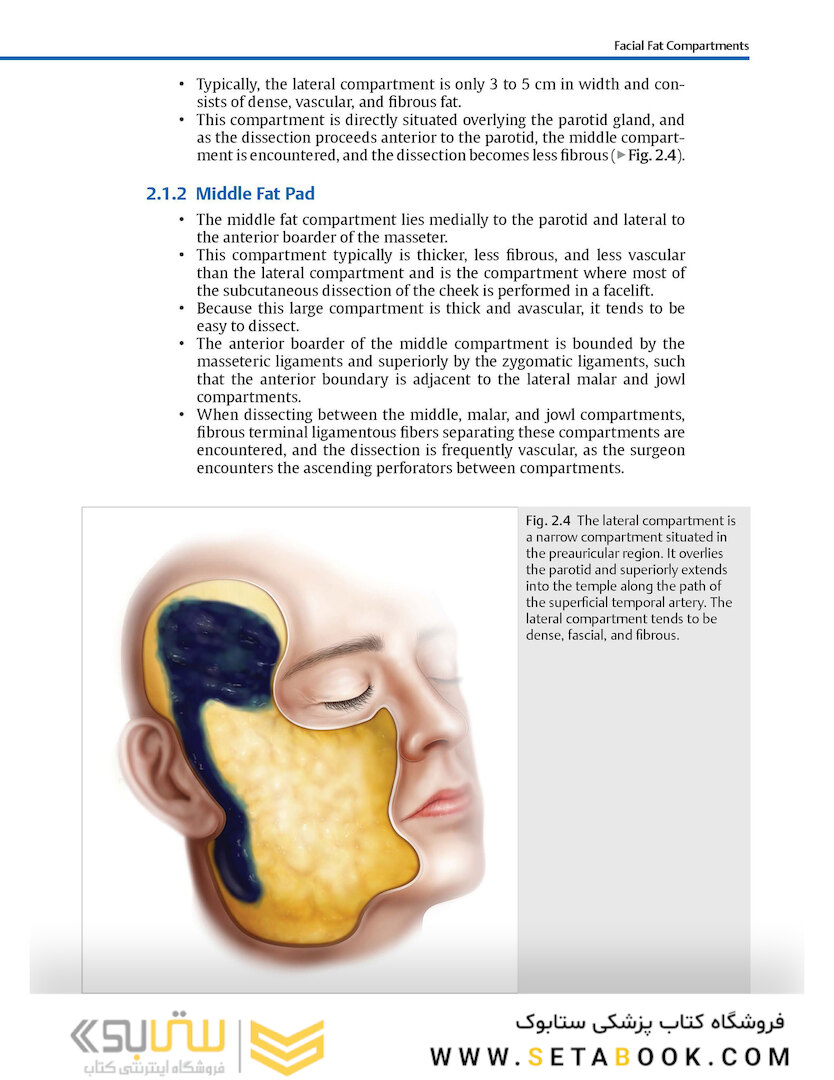 Facial Danger Zones: Staying safe with surgery, fillers, and non-invasive devices 1st Edition 2020