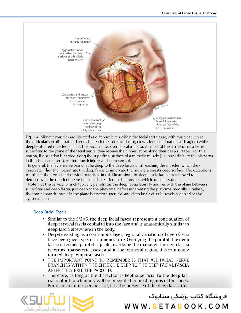 Facial Danger Zones: Staying safe with surgery, fillers, and non-invasive devices 1st Edition 2020