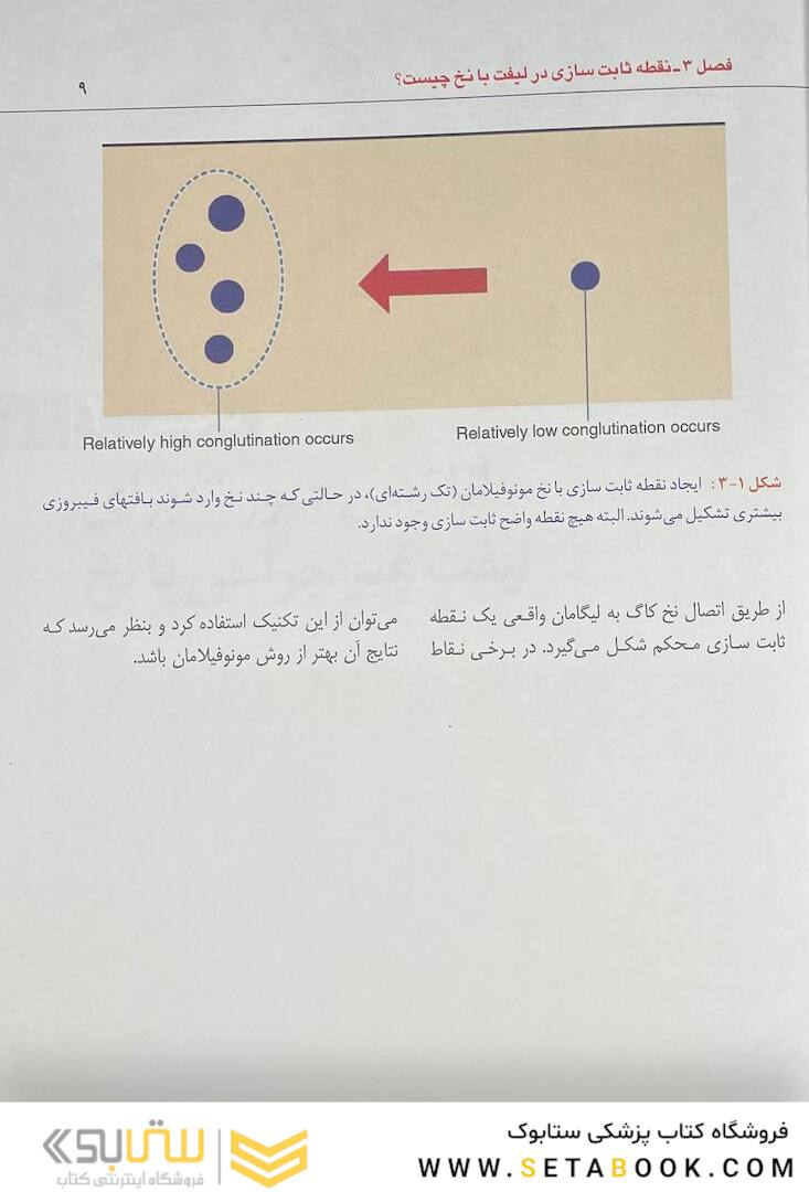 راهنمای کاربردی علم و هنر لیفت با نخ