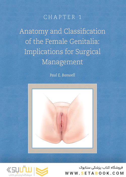 Female Cosmetic Genital Surgery: Concepts, classification and techniques 1st Edition 2017