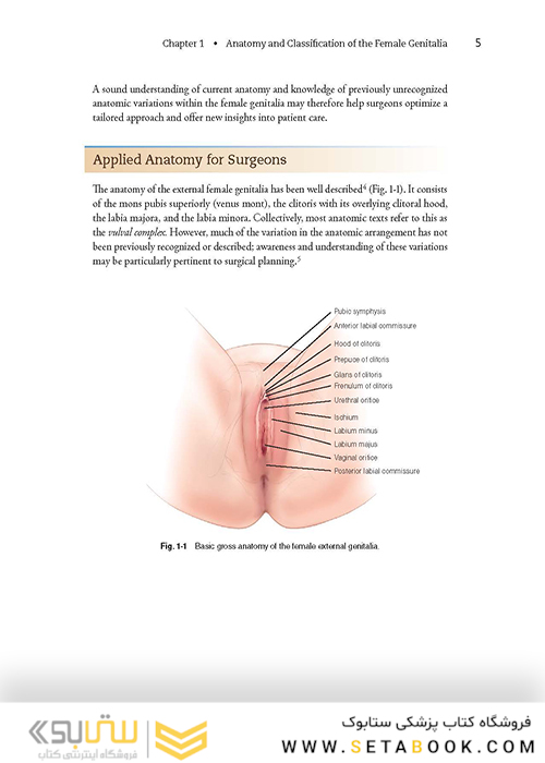 Female Cosmetic Genital Surgery: Concepts, classification and techniques 1st Edition 2017