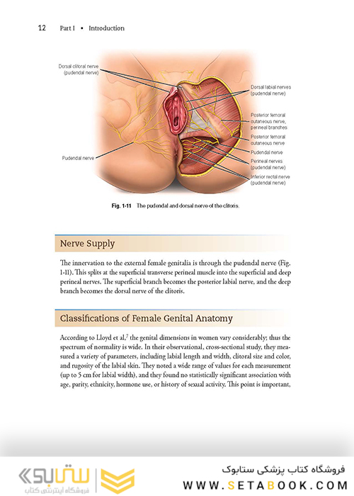 Female Cosmetic Genital Surgery: Concepts, classification and techniques 1st Edition 2017
