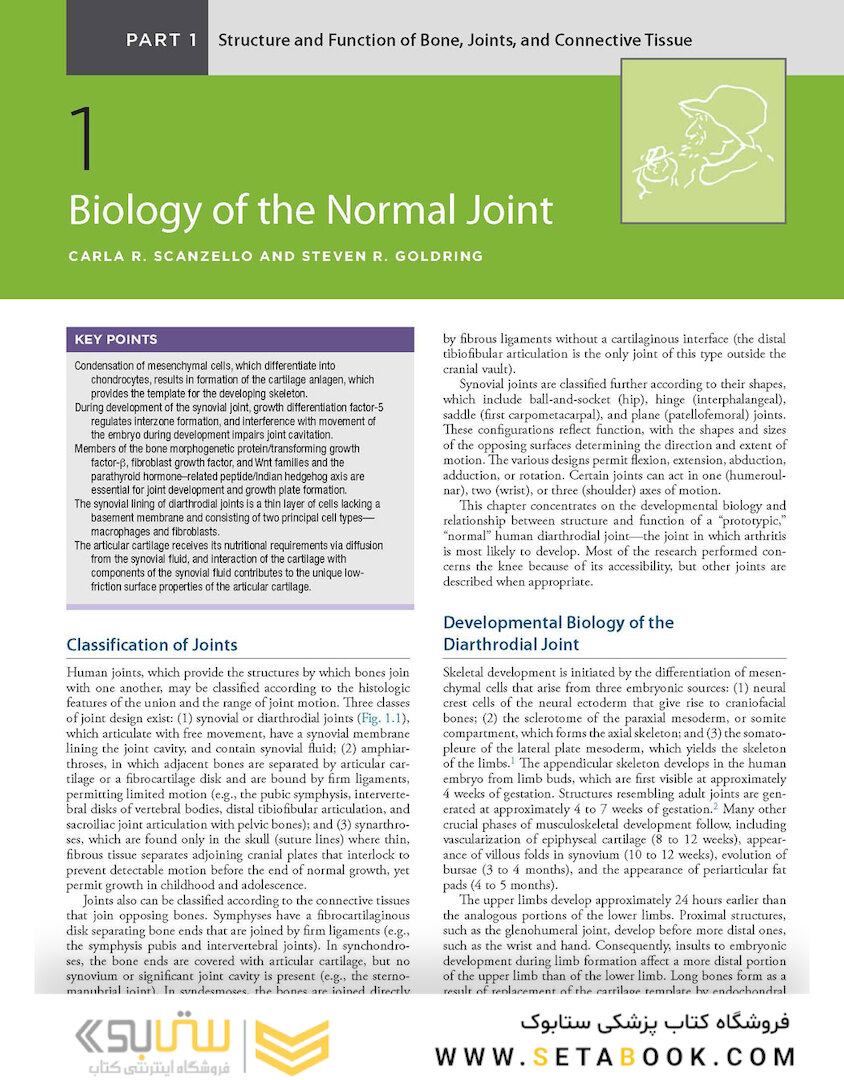 Kelley and Firestein