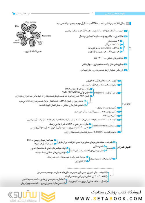 نمودارنامه جنین شناسی