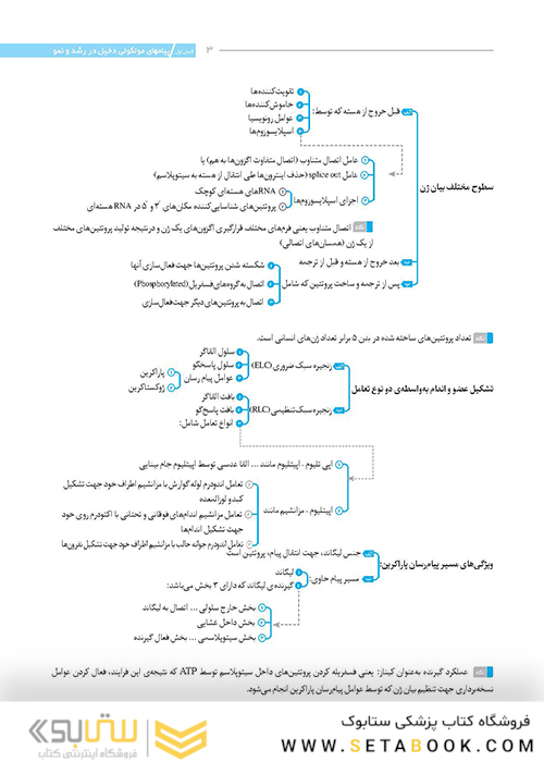 نمودارنامه جنین شناسی