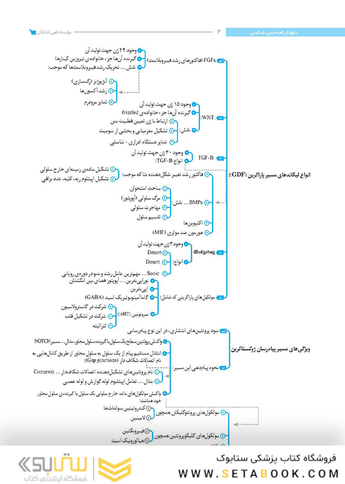نمودارنامه جنین شناسی
