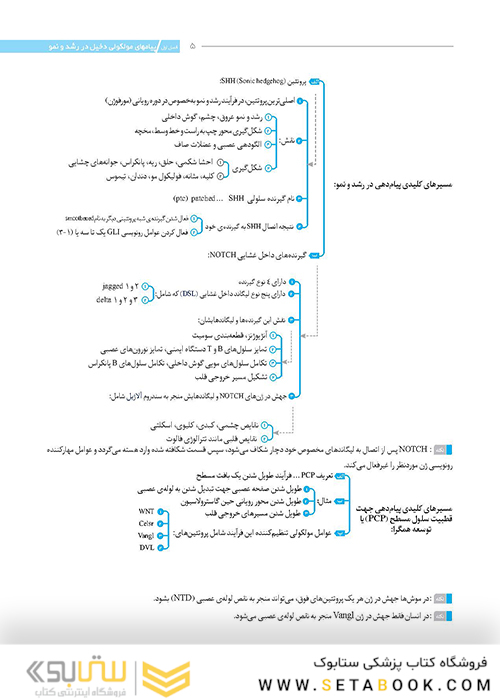 نمودارنامه جنین شناسی
