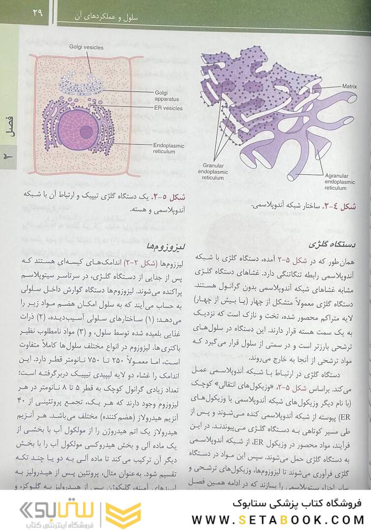 فیزیولوژی پزشکی گایتون و هال 2021 جلد1