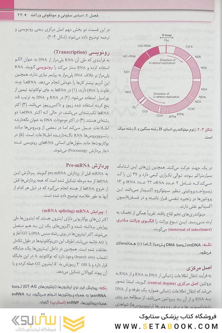 QR خلاصه مرجع اصول ژنتیک پزشکی امری 2022