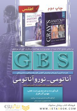 GBS آناتومی - نوروآناتومی