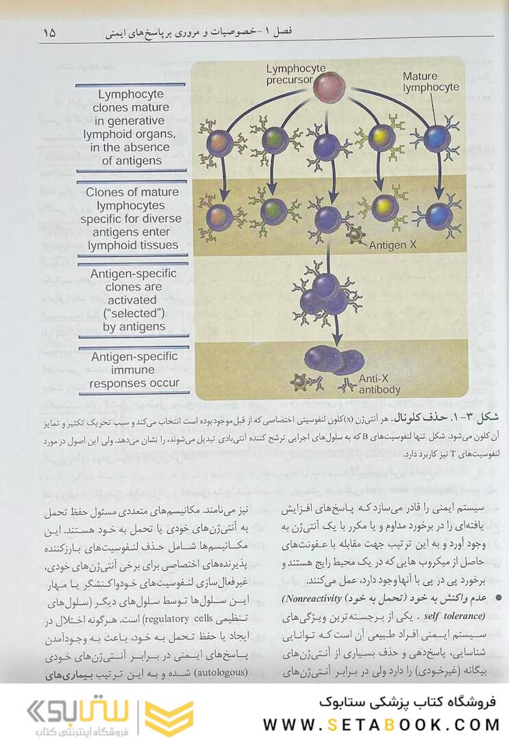 ایمونولوژی سلولی مولکولی ابوالعباس 2022 دکتر ماهرو میراحمدیان