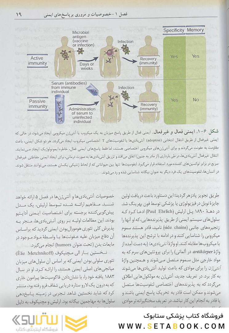 ایمونولوژی سلولی مولکولی ابوالعباس 2022 دکتر ماهرو میراحمدیان