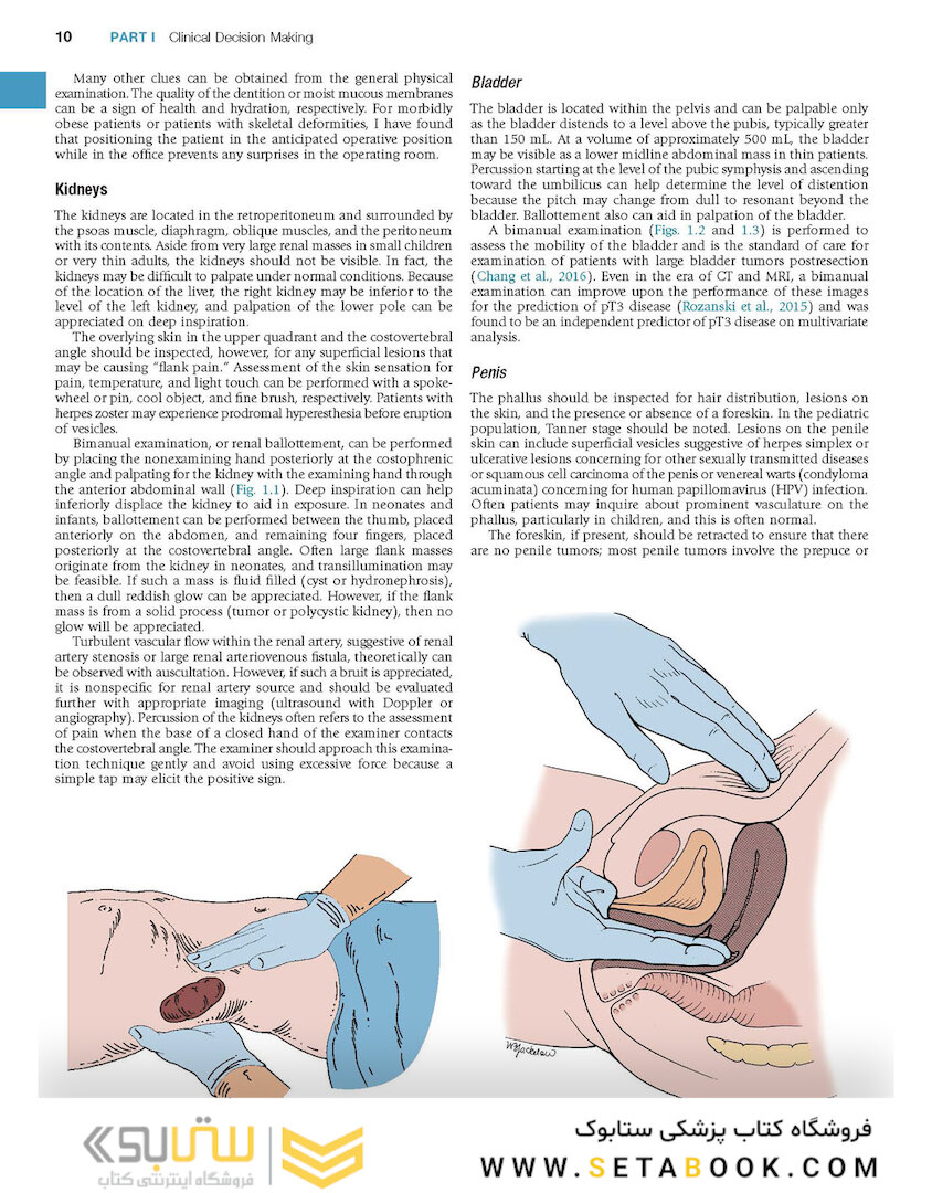 Campbell-Walsh Urology: 4-Volume Set 12th Edition