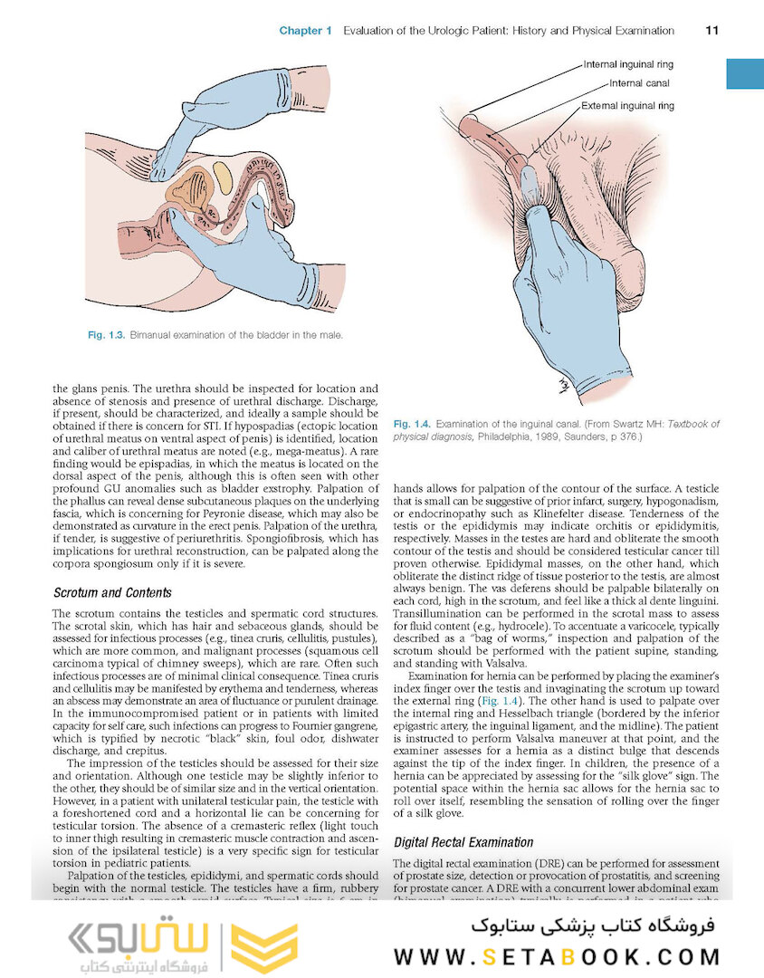 Campbell-Walsh Urology: 4-Volume Set 12th Edition
