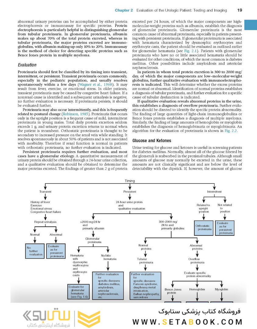 Campbell-Walsh Urology: 4-Volume Set 12th Edition