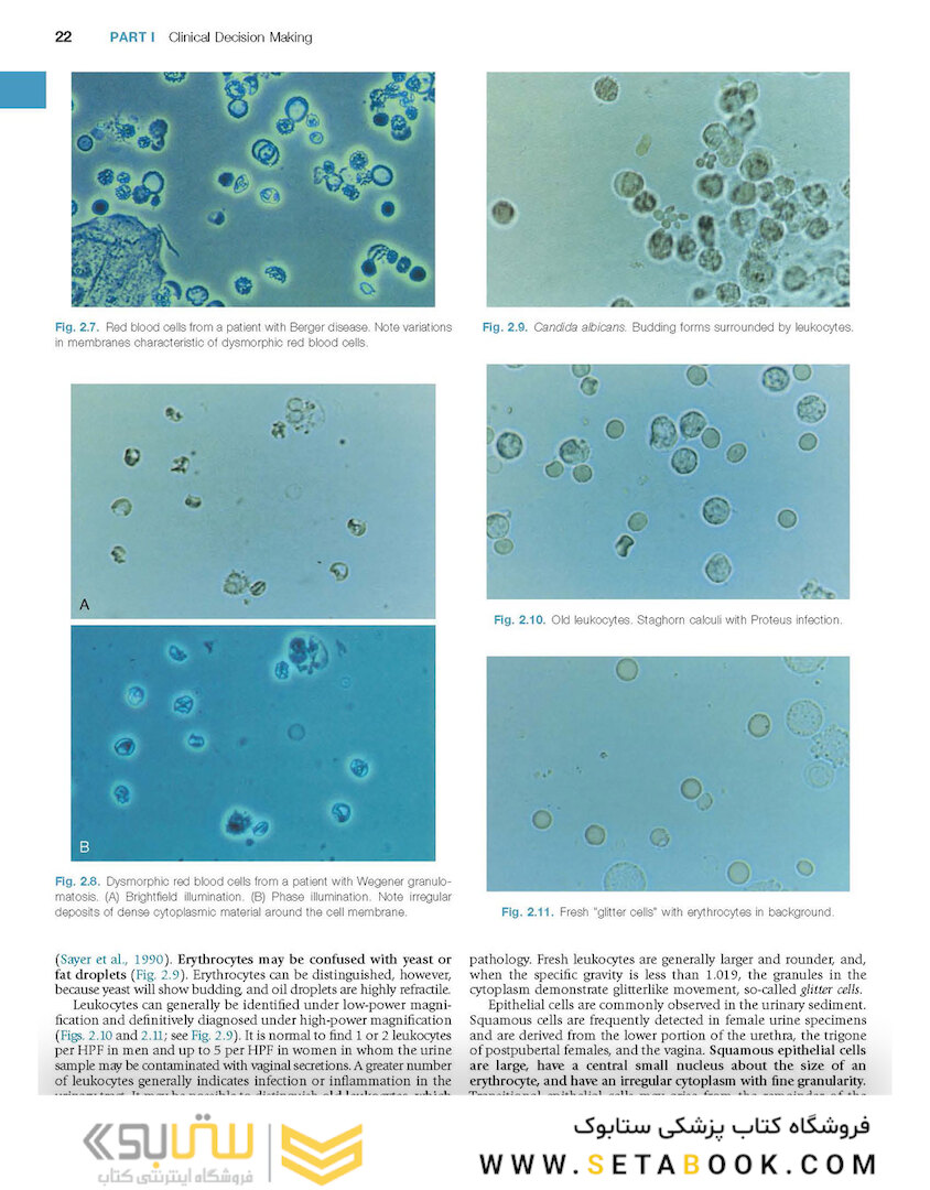 Campbell-Walsh Urology: 4-Volume Set 12th Edition
