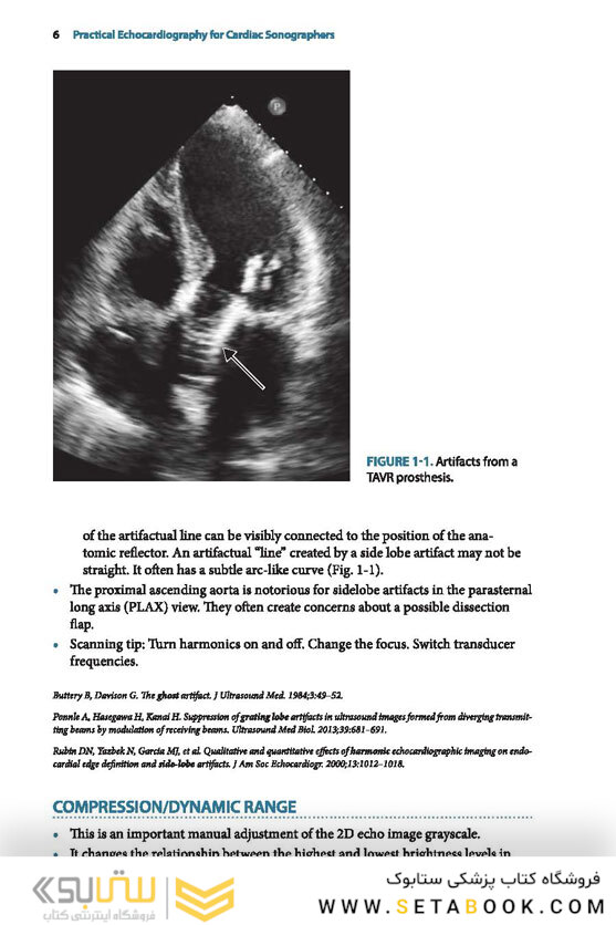 Practical Echocardiography for Cardiac Sonographers 2020