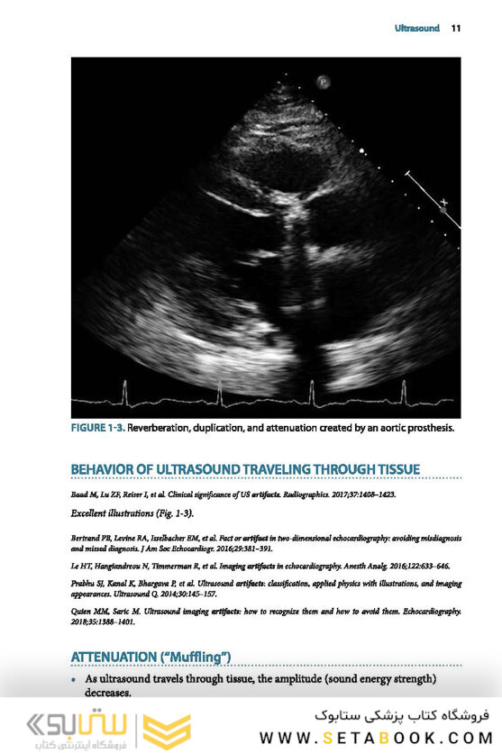Practical Echocardiography for Cardiac Sonographers 2020