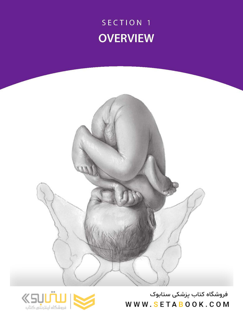 Williams Obstetrics 26th Edicion 2022