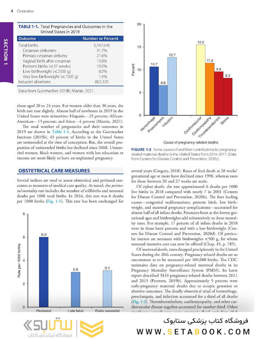 Williams Obstetrics 26th Edicion 2022
