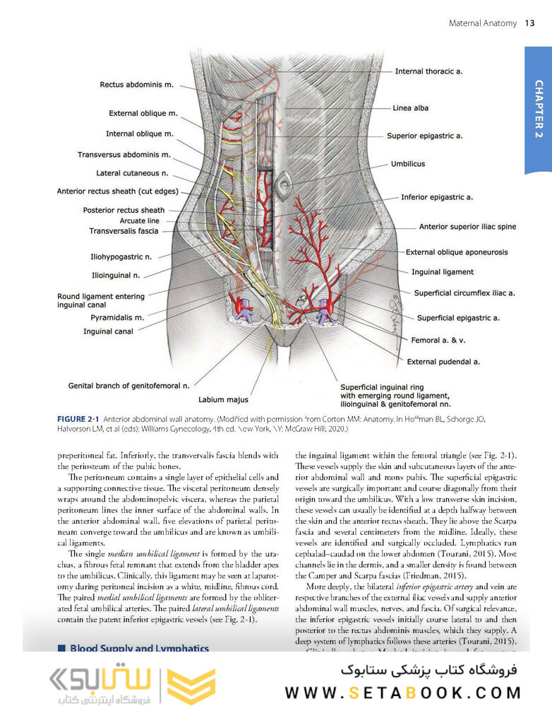 Williams Obstetrics 26th Edicion 2022